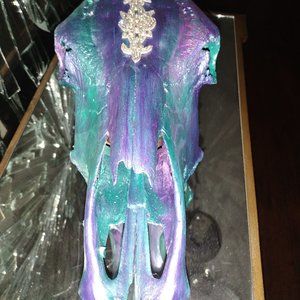 Decorative cow skull